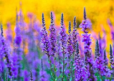 腾讯NExT工作室《重生边缘》今夏上线，确定将于4月20开启测试