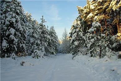 《Bramble Royale》Steam页面公布 明年发售