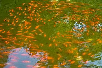 开放性世界武侠RPG《江湖十一》今日上线Steam平台 首发价68元